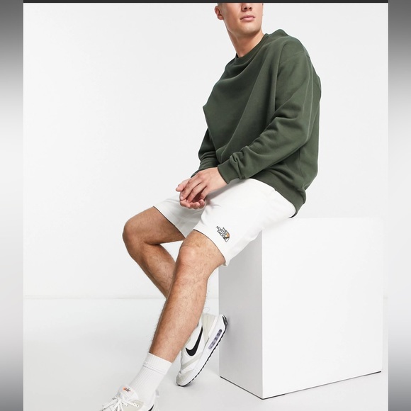 The North Face Men's Never Stop Pride Shorts | NWT Size Small, Fast Shipping - Picture 2 of 4